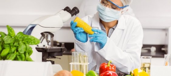 CONSULENZA HACCP - Res Nova Latina